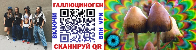 Псилоцибиновые грибы Psilocybe Грязовец